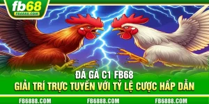 Đá gà C1 FB68 - Giải trí trực tuyến với tỷ lệ cược hấp dẫn
