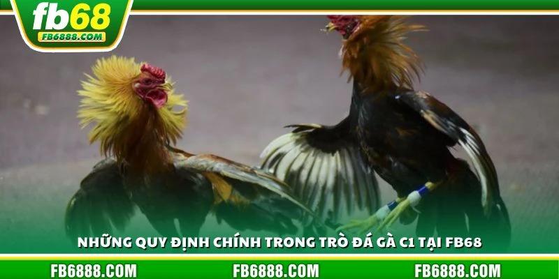 Những quy định chính trong trò đá gà C1 tại FB68