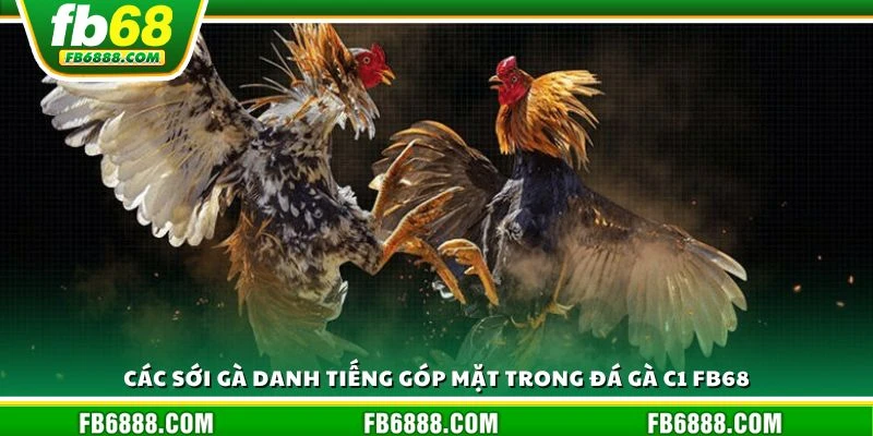 Các sới gà danh tiếng góp mặt trong đá gà C1 FB68