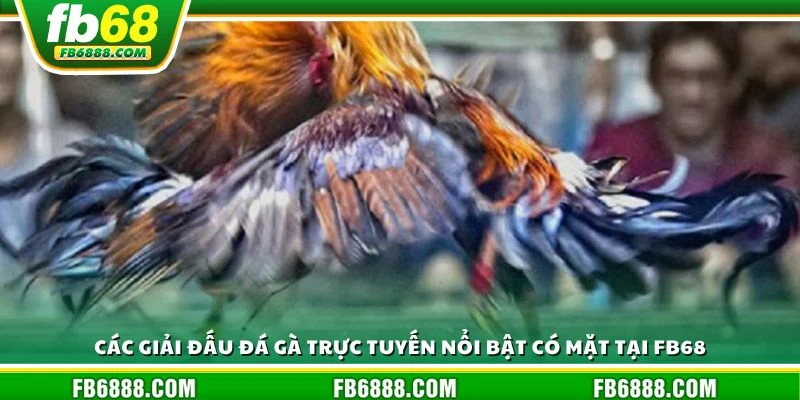 Các giải đấu đá gà trực tuyến nổi bật có mặt tại FB68