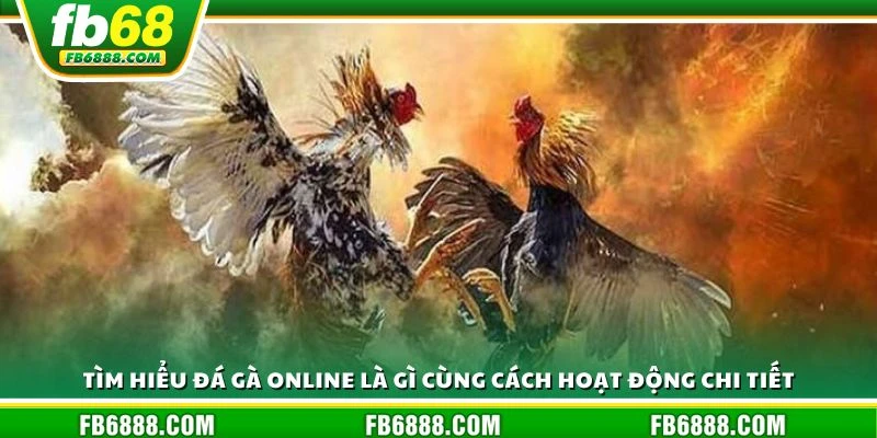 Tìm hiểu đá gà online là gì cùng cách hoạt động chi tiết